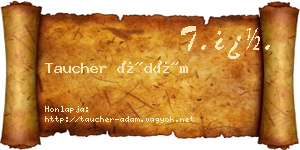 Taucher Ádám névjegykártya